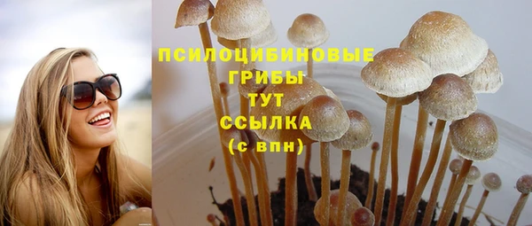 mdpv Лагань