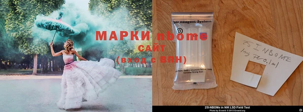 трава Лабытнанги
