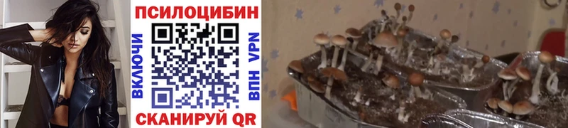 Галлюциногенные грибы Magic Shrooms  Хасавюрт 